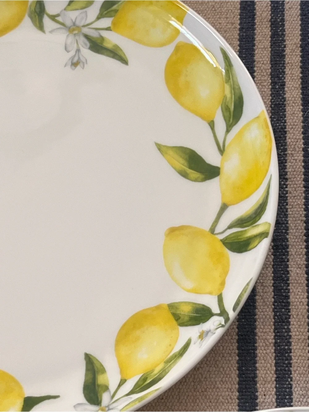 Set Of 6 Mikasa Lemon Dinner Plates 11